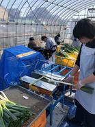 いちごの広場.jpg